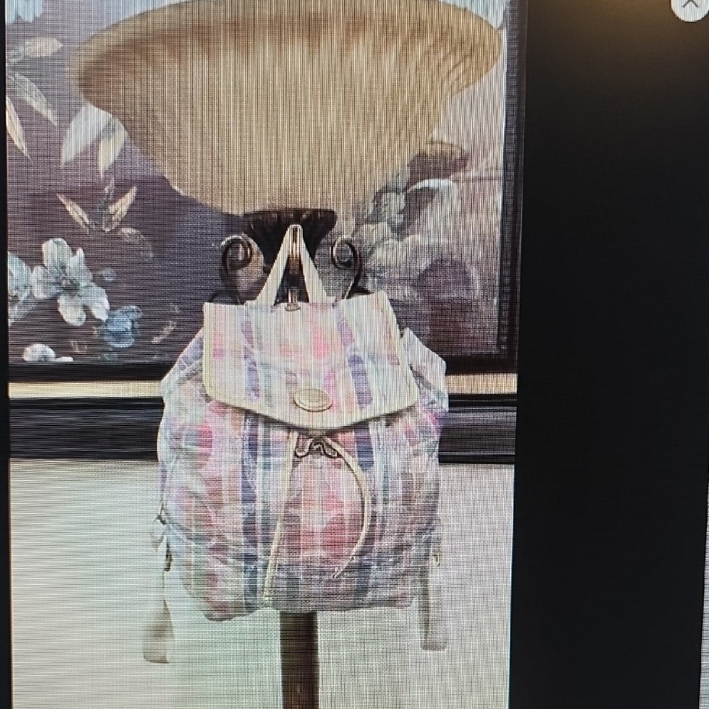 Coacg Plaid Backpack with Drawstring Closure - image 2